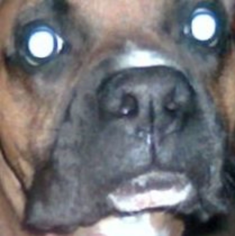 Meet your Posher, Vance